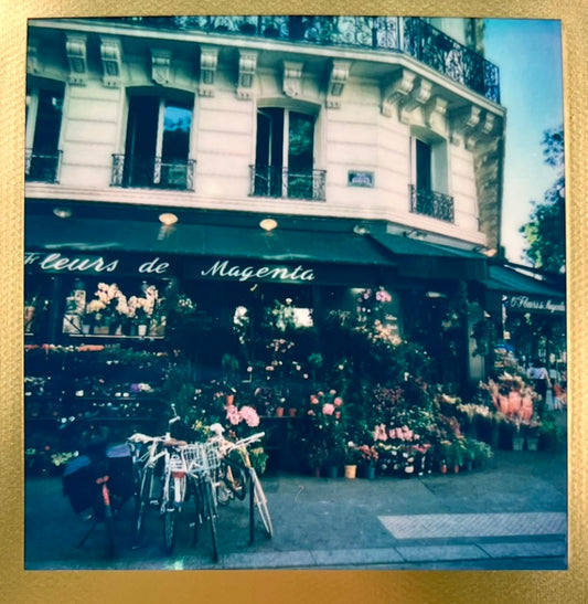 paris polaroid / street photography captures; special edition gold frame