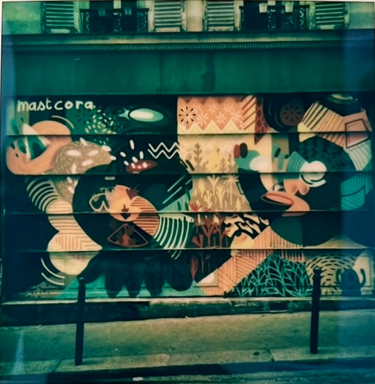 paris polaroid / street photography captures