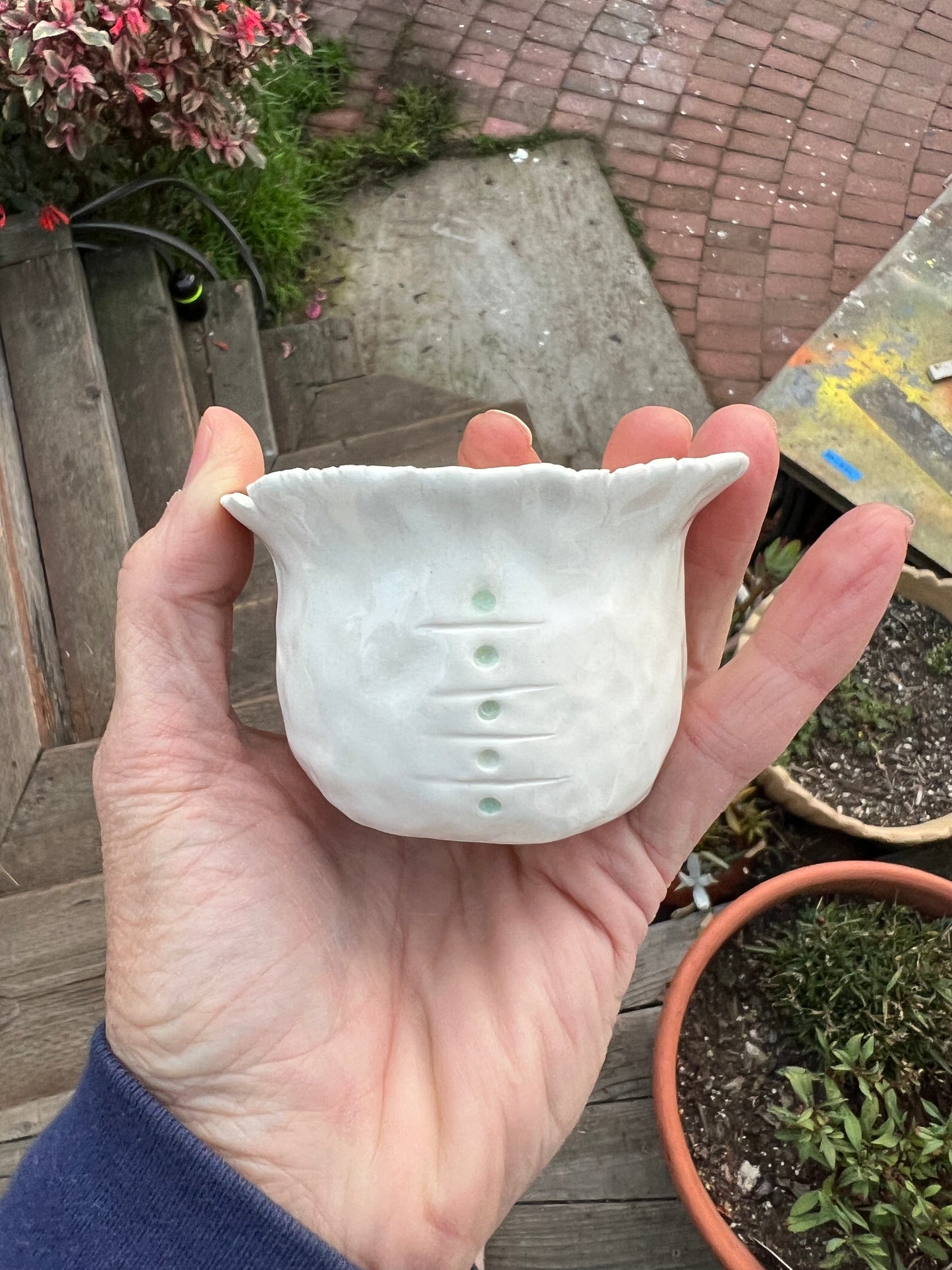 dots & lines pinch cup samples/seconds/sale piece