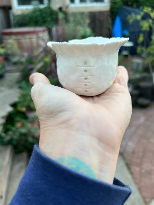 dots & lines pinch cup samples/seconds/sale piece