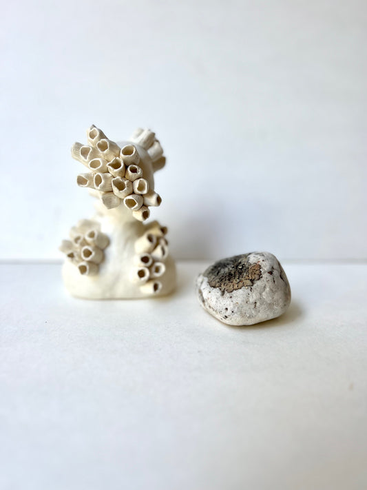 one of a kind ceramic barnacle house piece - SOLD