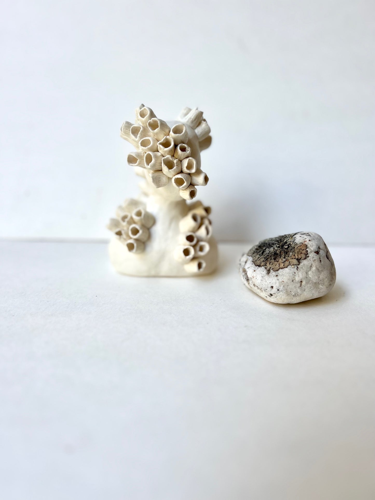 one of a kind ceramic barnacle house piece - SOLD