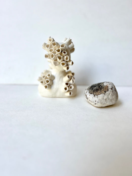 one of a kind ceramic barnacle house piece - SOLD