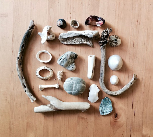 drawing 101 class / ecole notre dame des victoires; 11/13