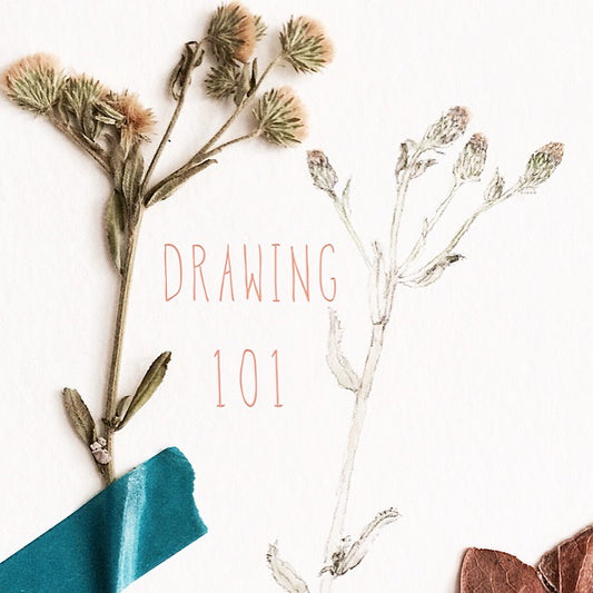 drawing 101 class / ecole notre dame des victoires; 11/13