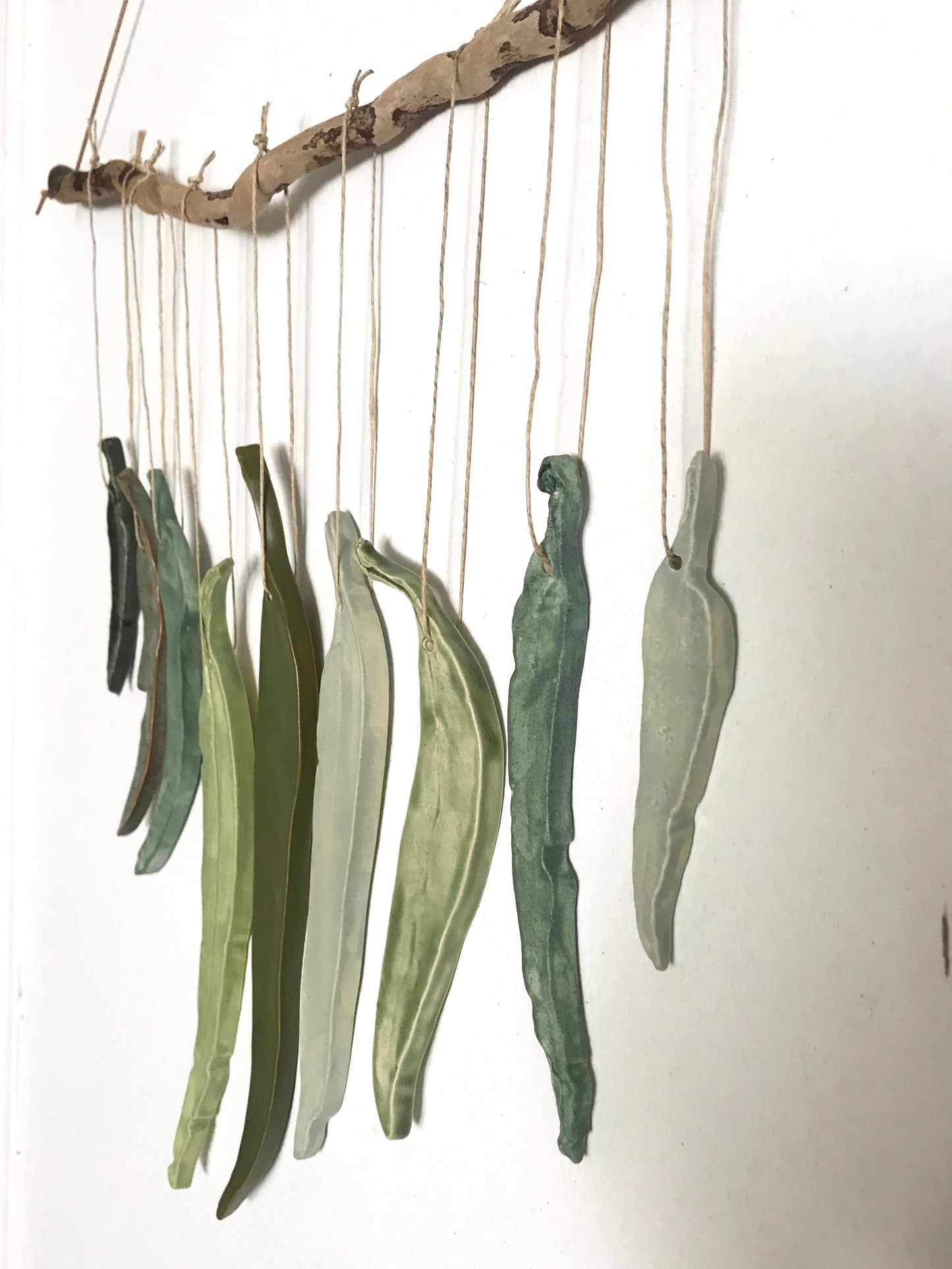 sold - green(s) ‘clarity’ eucalyptus hanging