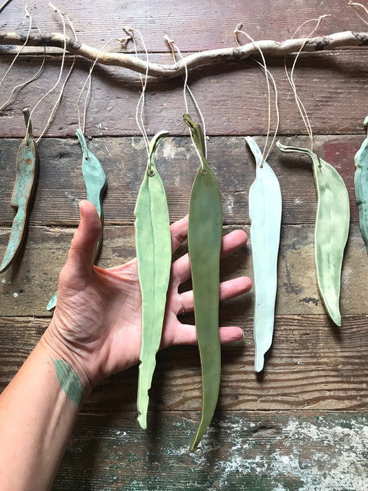 sold - green(s) ‘clarity’ eucalyptus hanging