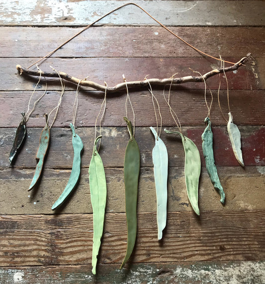 sold - green(s) ‘clarity’ eucalyptus hanging