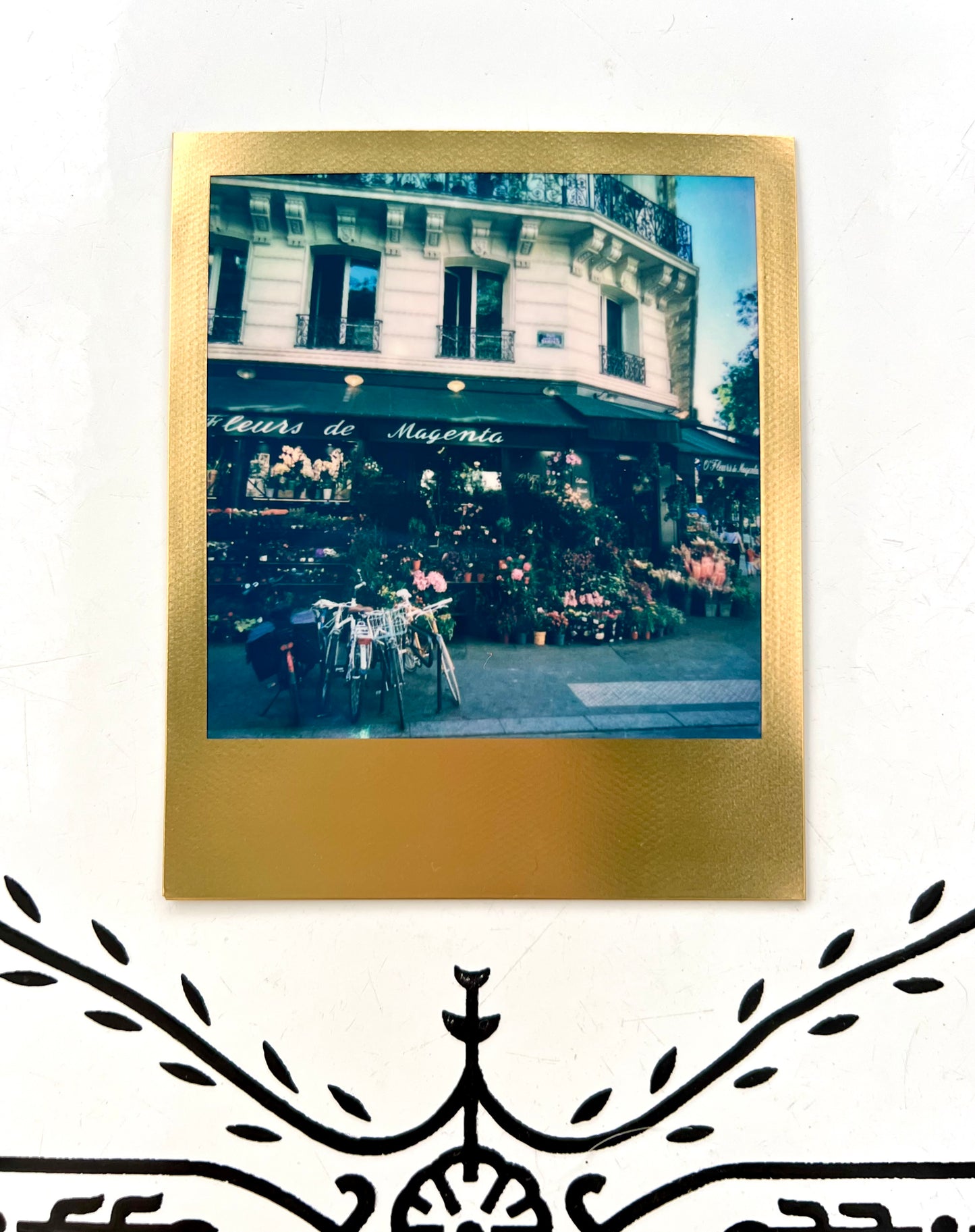 paris polaroid / street photography captures; special edition gold frame