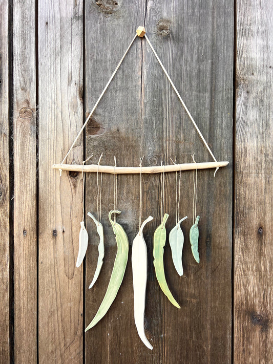 sold - ‘clarity’ eucalyptus piece